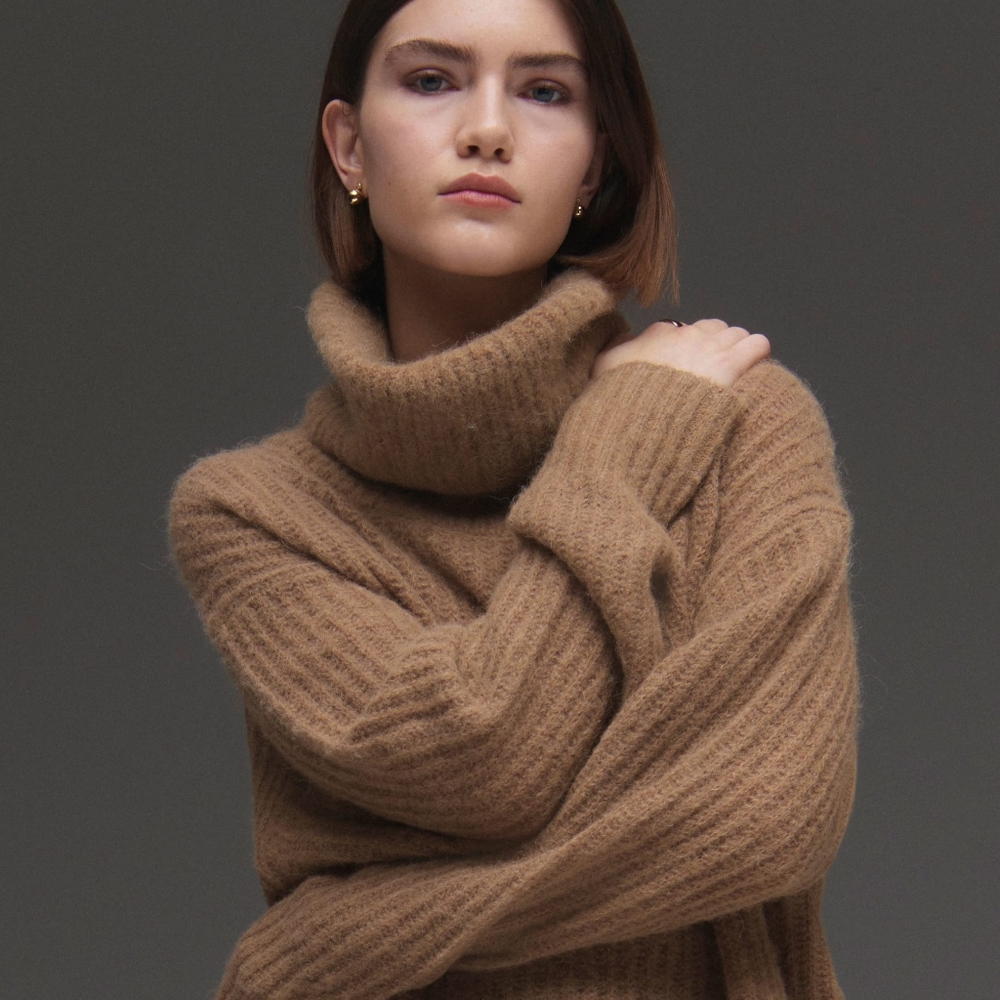 Everlane Alpaca Oversized Turtleneck